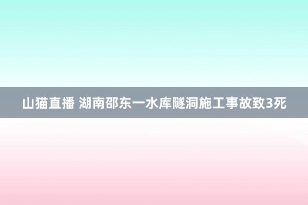 山猫直播 湖南邵东一水库隧洞施工事故致3死