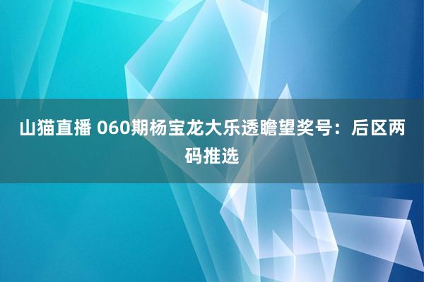 山猫直播 060期杨宝龙大乐透瞻望奖号:后区两码推选
