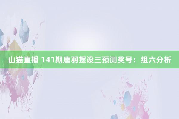 山猫直播 141期唐羽摆设三预测奖号:组六分析