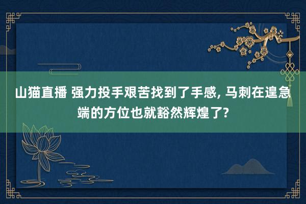 山猫直播 强力投手艰苦找到了手感, 马刺在遑急端的方位也就豁然辉煌了?