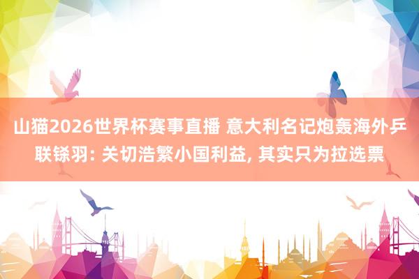 山猫2026世界杯赛事直播 意大利名记炮轰海外乒联铩羽: 关切浩繁小国利益, 其实只为拉选票