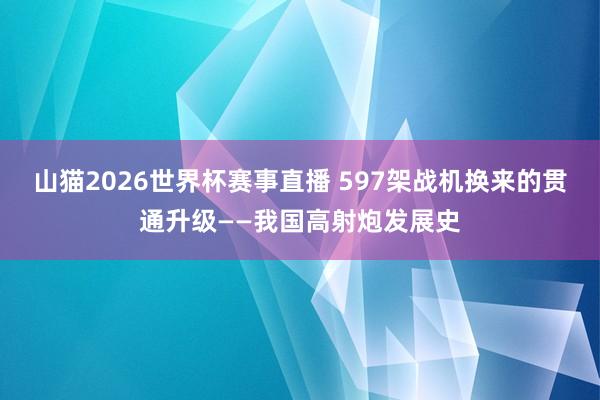 山猫2026世界杯赛事直播 597架战机换来的贯通升级——我国高射炮发展史