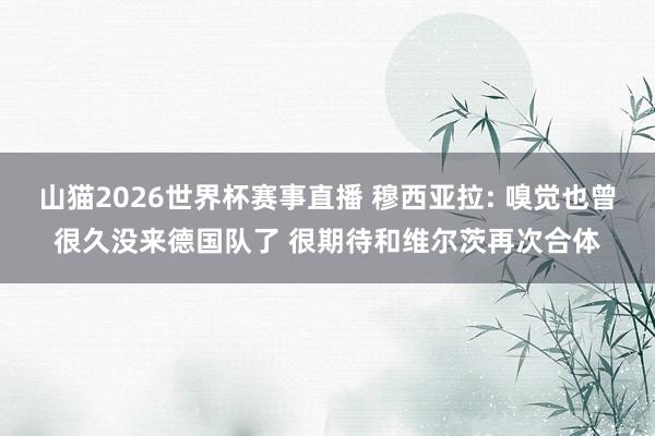 山猫2026世界杯赛事直播 穆西亚拉: 嗅觉也曾很久没来德国队了 很期待和维尔茨再次合体