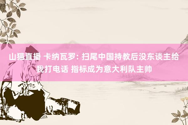山猫直播 卡纳瓦罗: 扫尾中国持教后没东谈主给我打电话 指标成为意大利队主帅