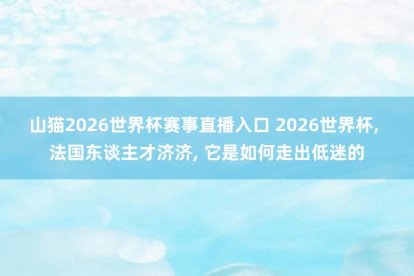山猫2026世界杯赛事直播入口 2026世界杯, 法国东谈主才济济, 它是如何走出低迷的