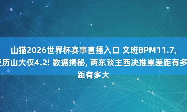 山猫2026世界杯赛事直播入口 文班BPM11.7, 亚历山大仅4.2! 数据揭秘, 两东谈主西决推崇差距有多大