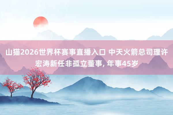 山猫2026世界杯赛事直播入口 中天火箭总司理许宏涛新任非孤立董事, 年事45岁