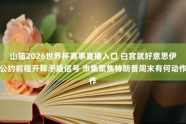 山猫2026世界杯赛事直播入口 白宫就好意思伊公约前程开释矛盾信号 市集聚焦特朗普周末有何动作
