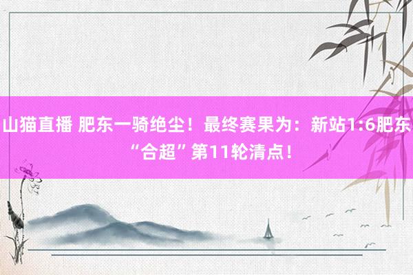 山猫直播 肥东一骑绝尘！最终赛果为：新站1:6肥东 “合超”第11轮清点！