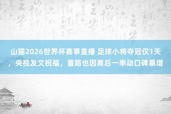 山猫2026世界杯赛事直播 足球小将夺冠仅1天,央视发文祝福,董路也因赛后一举动口碑暴增