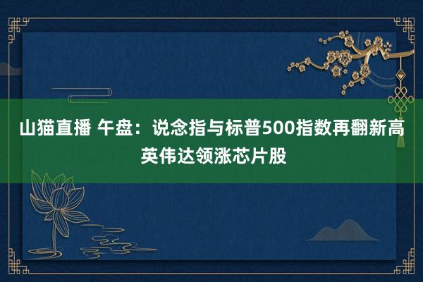山猫直播 午盘:说念指与标普500指数再翻新高 英伟达领涨芯片股