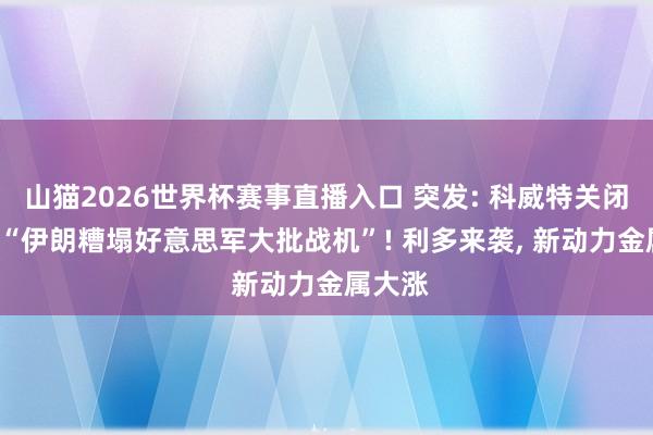 山猫2026世界杯赛事直播入口 突发: 科威特关闭领空, “伊朗糟塌好意思军大批战机”! 利多来袭, 新动力金属大涨