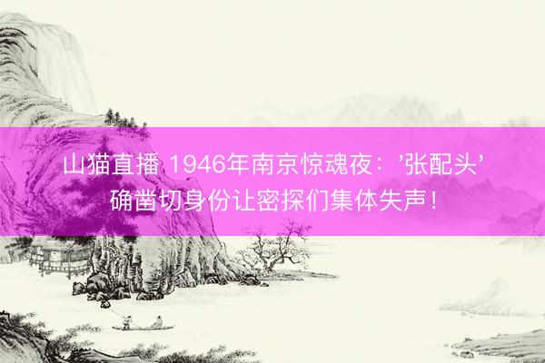 山猫直播 1946年南京惊魂夜：'张配头'确凿切身份让密探们集体失声！