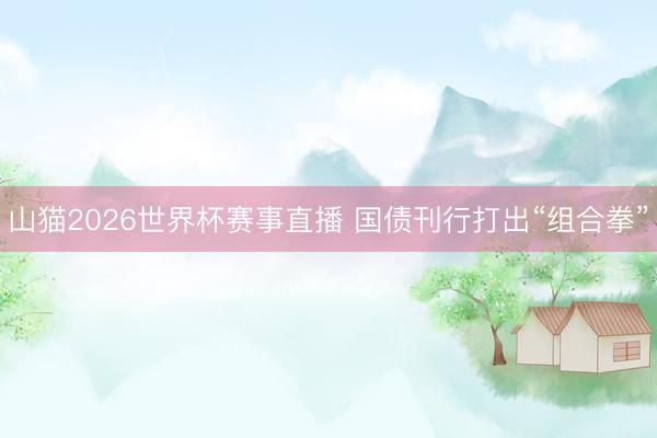 山猫2026世界杯赛事直播 国债刊行打出“组合拳”