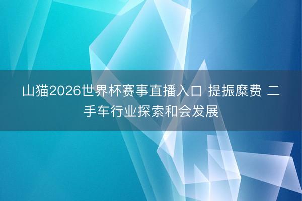 山猫2026世界杯赛事直播入口 提振糜费 二手车行业探索和会发展