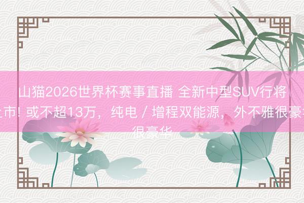 山猫2026世界杯赛事直播 全新中型SUV行将上市! 或不超13万,纯电/增程双能源,外不雅很豪华