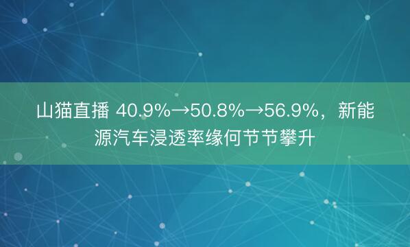 山猫直播 40.9%→50.8%→56.9%,新能源汽车浸透率缘何节节攀升