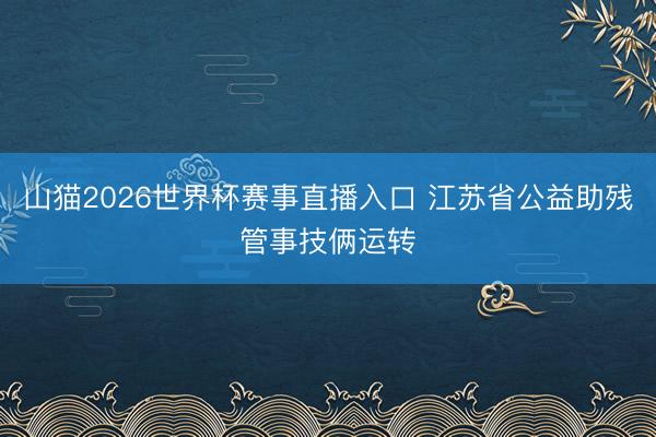 山猫2026世界杯赛事直播入口 江苏省公益助残管事技俩运转
