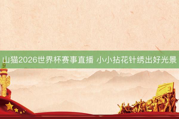 山猫2026世界杯赛事直播 小小拈花针绣出好光景