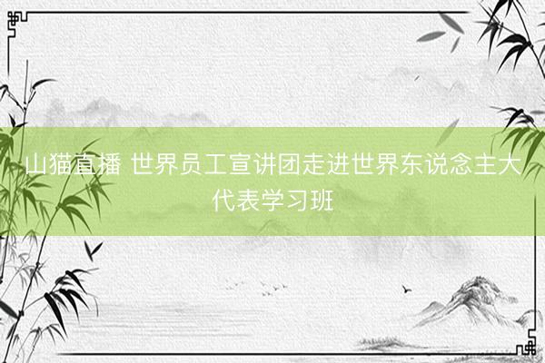 山猫直播 世界员工宣讲团走进世界东说念主大代表学习班