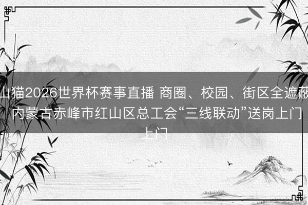山猫2026世界杯赛事直播 商圈、校园、街区全遮蔽 内蒙古赤峰市红山区总工会“三线联动”送岗上门