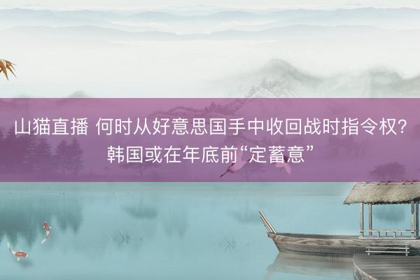 山猫直播 何时从好意思国手中收回战时指令权?韩国或在年底前“定蓄意”