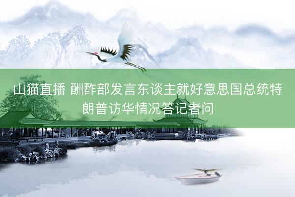 山猫直播 酬酢部发言东谈主就好意思国总统特朗普访华情况答记者问
