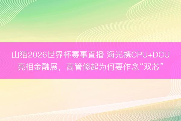 山猫2026世界杯赛事直播 海光携CPU+DCU亮相金融展,高管修起为何要作念“双芯”