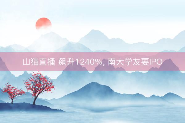 山猫直播 飙升1240%, 南大学友要IPO