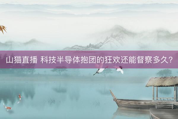 山猫直播 科技半导体抱团的狂欢还能督察多久?