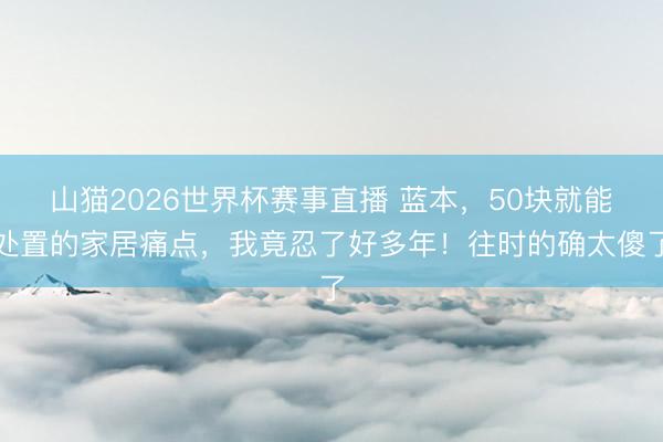 山猫2026世界杯赛事直播 蓝本,50块就能处置的家居痛点,我竟忍了好多年!往时的确太傻了