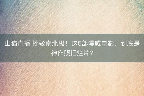 山猫直播 批驳南北极！这5部漫威电影，到底是神作照旧烂片？